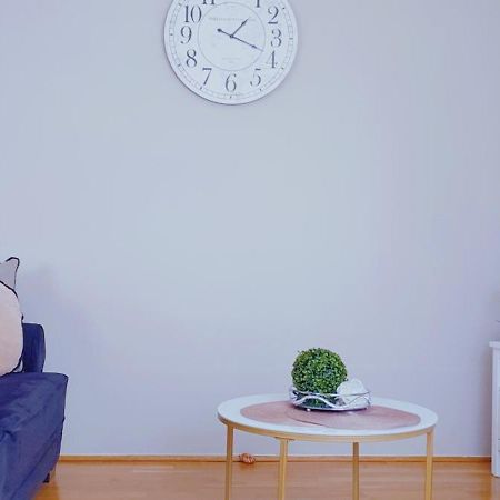 Cosmopolitan Apartament Z Bezplatnym, Prywatnym Parkingiem W Hali Garazowej Торунь Экстерьер фото
